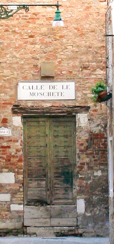 Old wooden door at venice photo