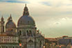 Bazilica Della Salute Din Venetia