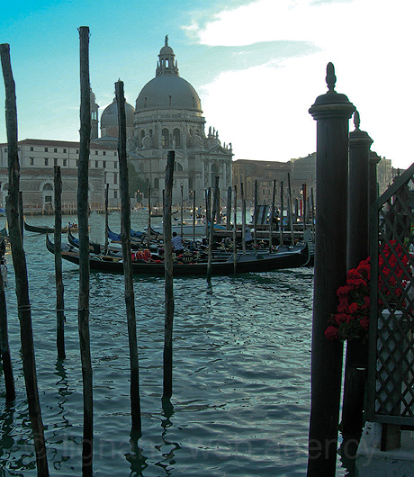 Закрепленные гондолы в Венеции фото